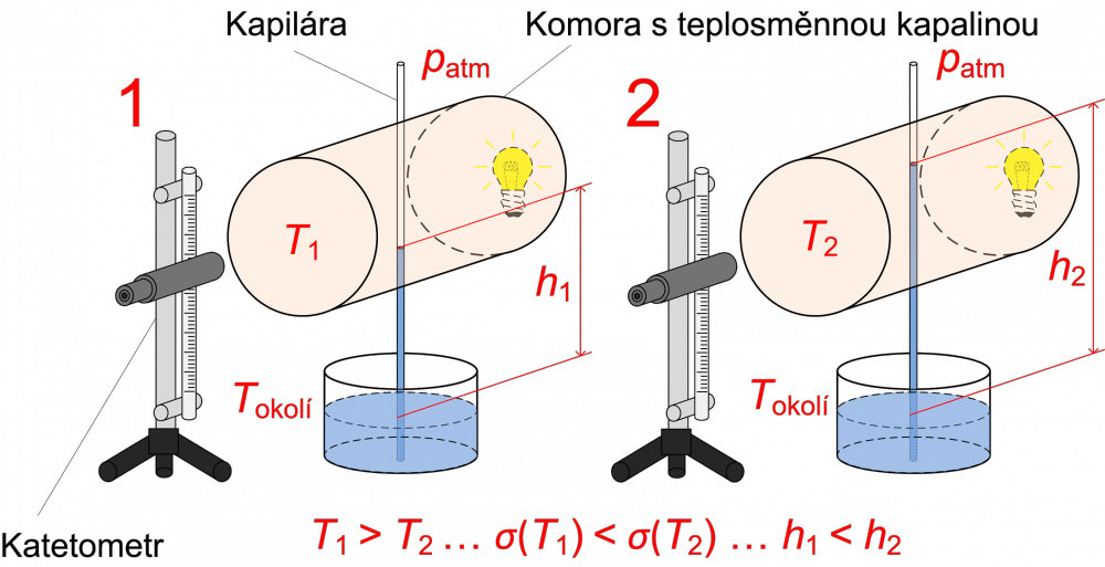 Principle of the capillary rise method