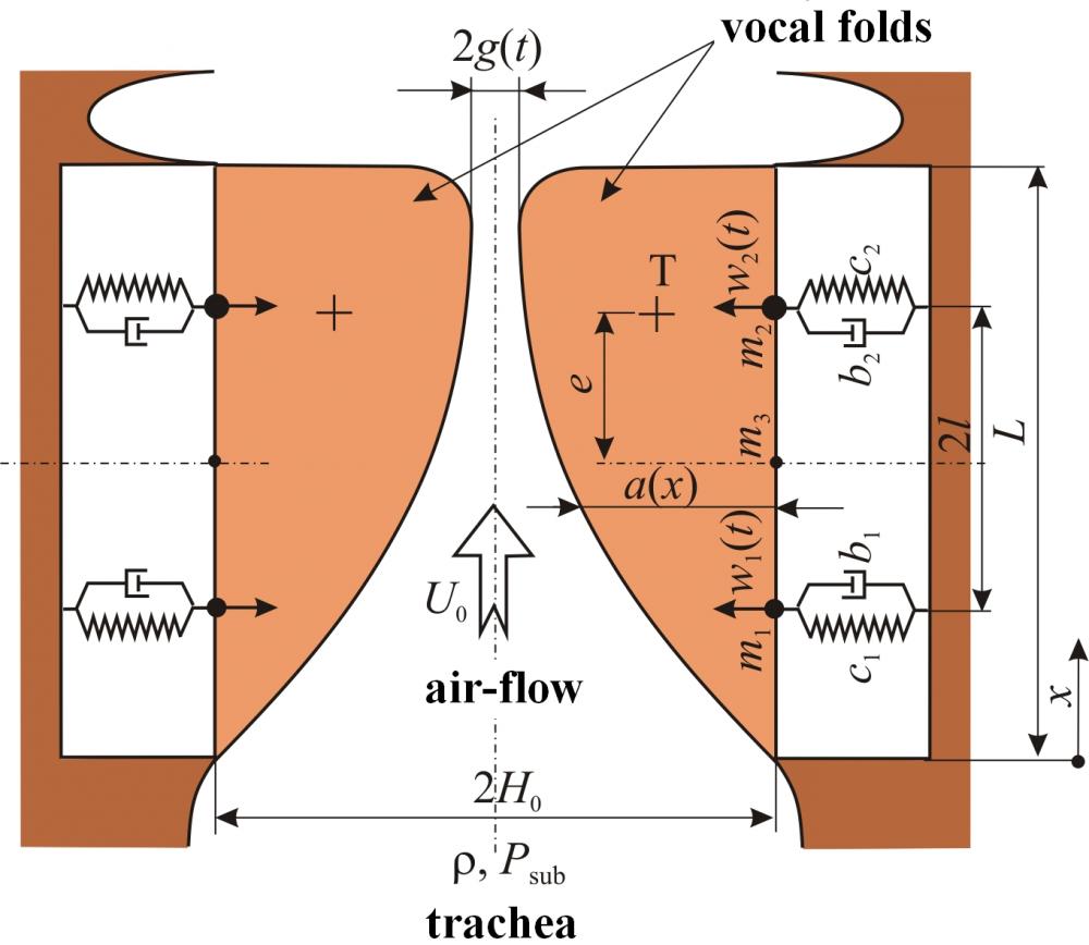 Aeroelastic model of vocal folds self-oscillations