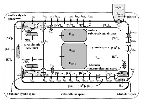 modelovani4