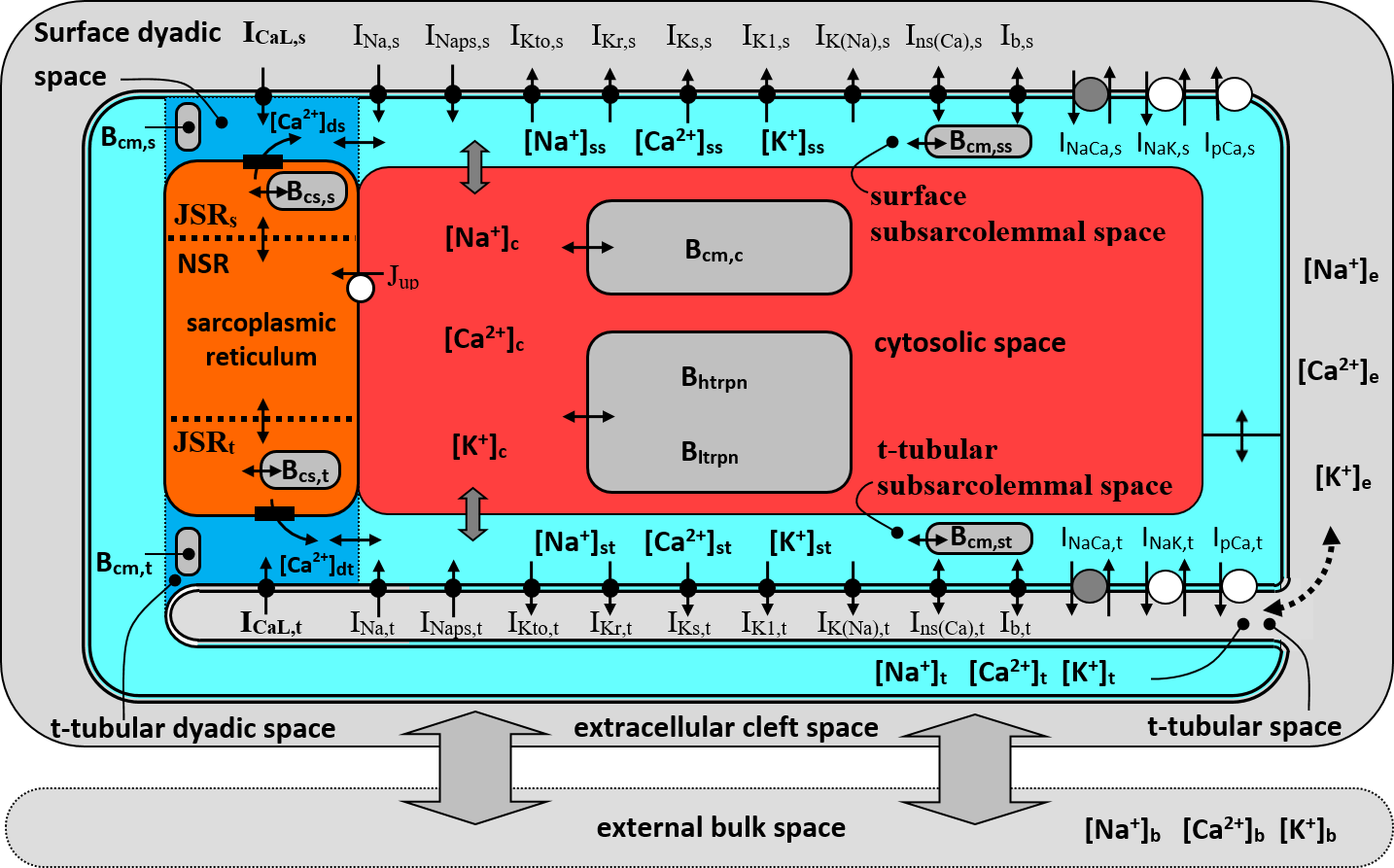 Schema modelu