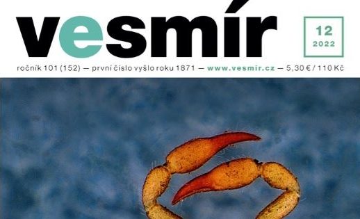 Vystrizek e1670853332113