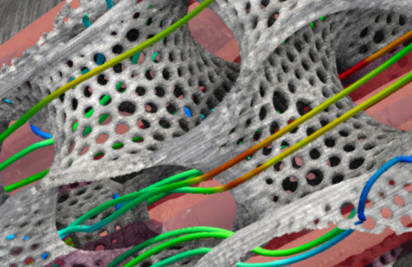 Ilustrační obrázek projektu METEX